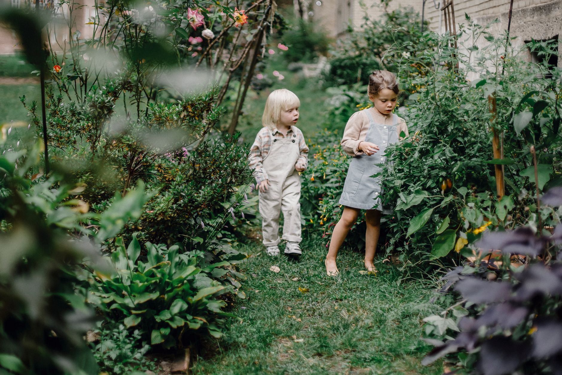Two toddlers exploring a leafy garden outdoors
